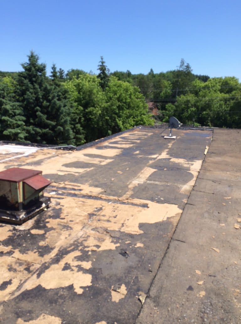 Commercial flat roof in Holland landing
