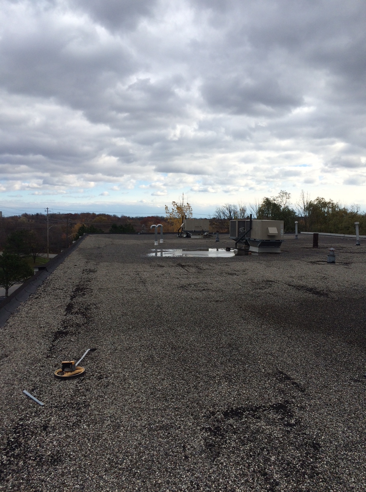 Flat roof inspection in Old Milton