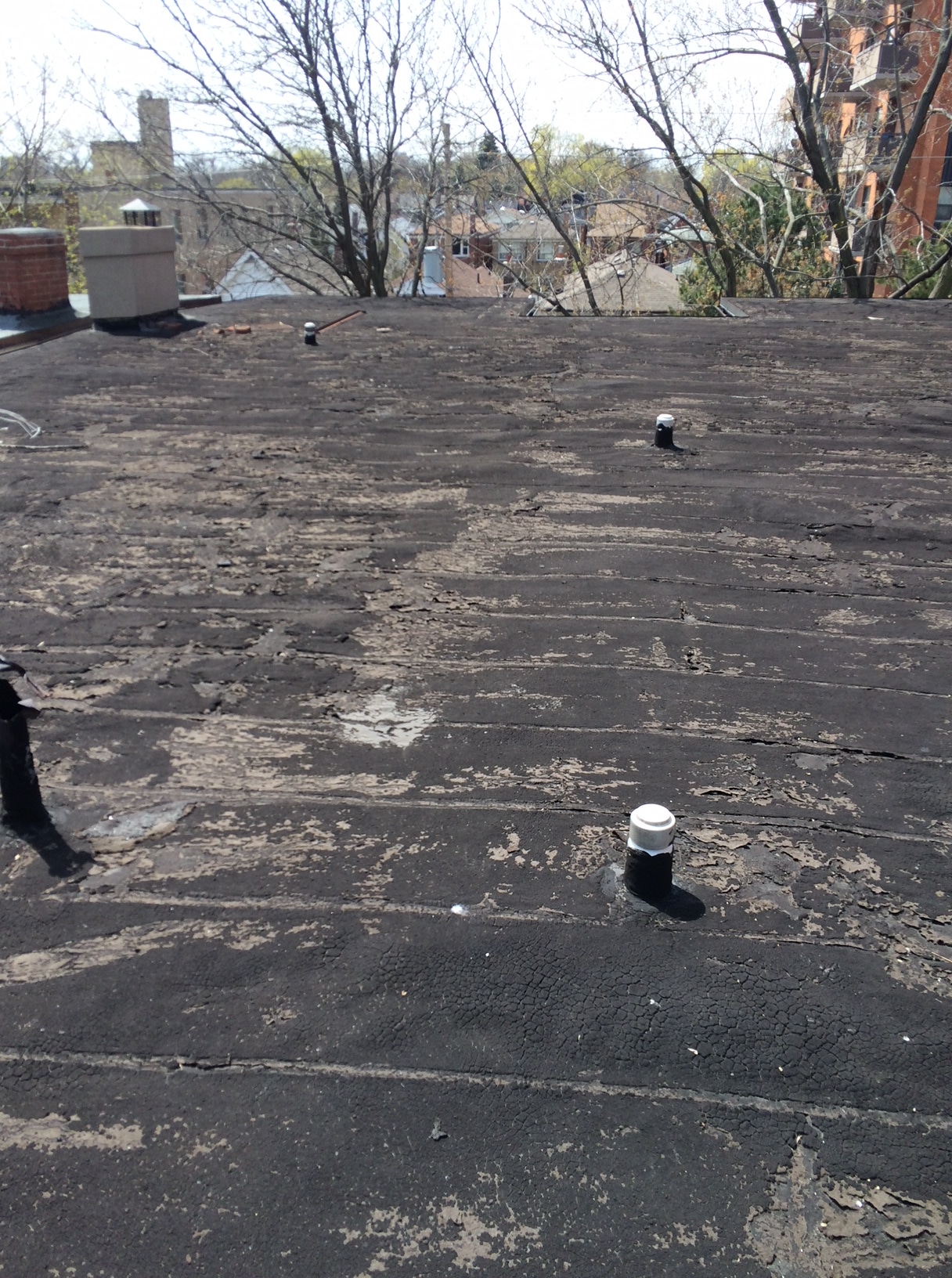 Blistered flat roof membrane in Toronto