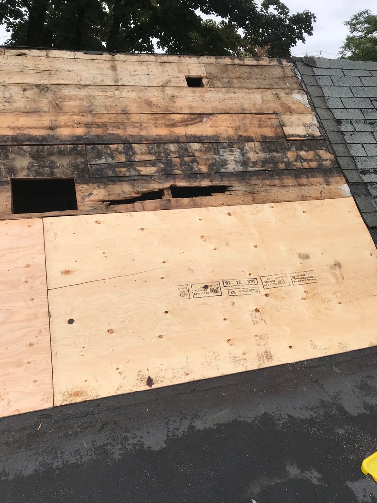 New plywood sheathing on flat roof repairs in Toronto