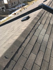 Damaged asphalt 3 tab shingles on townhome in Ajax roof repair