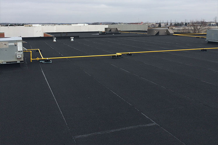Roof Install Services in Scarborough