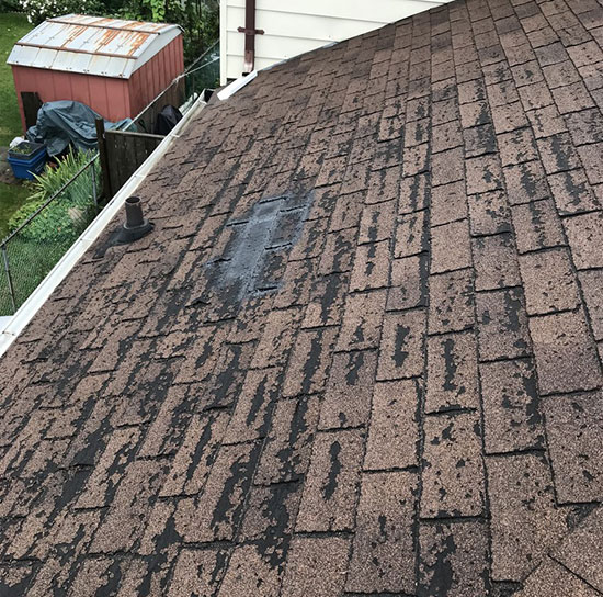 Roof Maintenance & Inspection in Toronto and the GTA