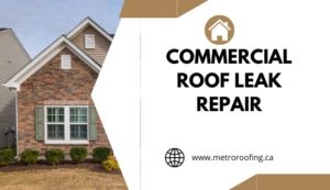 Commercial Roof Leak Repair
